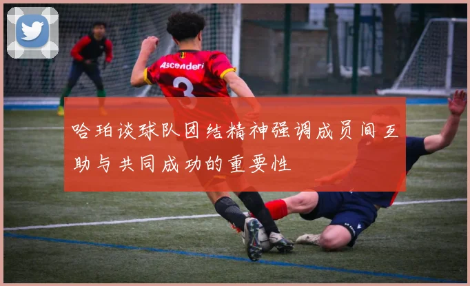 哈珀谈球队团结精神强调成员间互助与共同成功的重要性