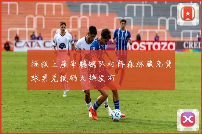 拯救上座率鹈鹕队对阵森林狼免费球票兑换码火热发布