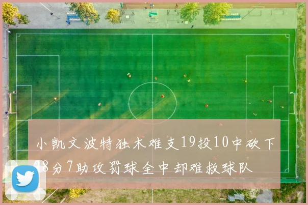 小凯文波特独木难支19投10中砍下28分7助攻罚球全中却难救球队
