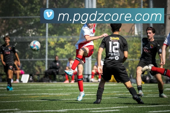 PG电子模拟器品牌故事