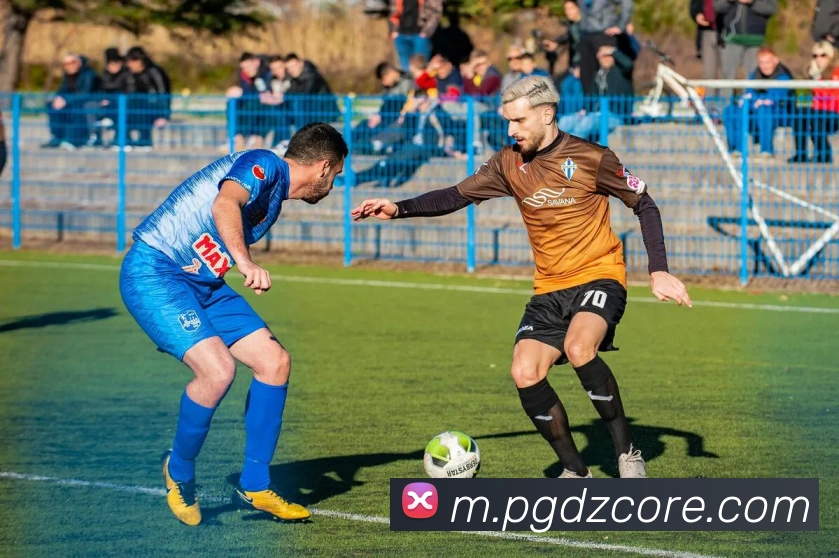 PG电子模拟器服务体系